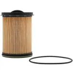 19474708 - : Filter for GM Image