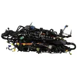 M1MZ14A005EH - : Wiring Assembly for Ford Image