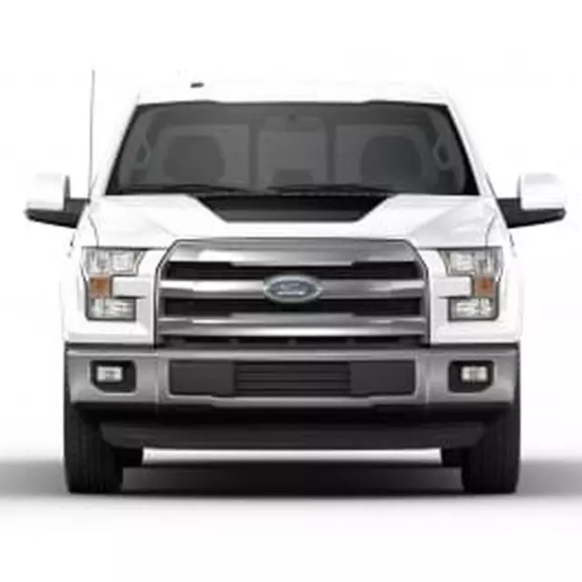 VFL3Z9920000F - : Original Wraps, Hood Cowl Stripe Kit, Matte Black for Ford: F-150 Image