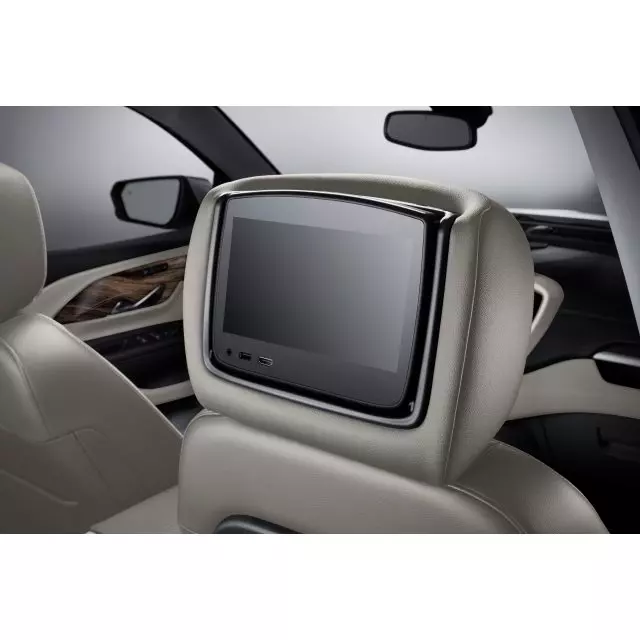 Headrest and Video Screen Assembly - GM (84576990)