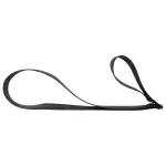 LB5Z78600A96AB - Body: Pull Strap for Ford: Explorer Image