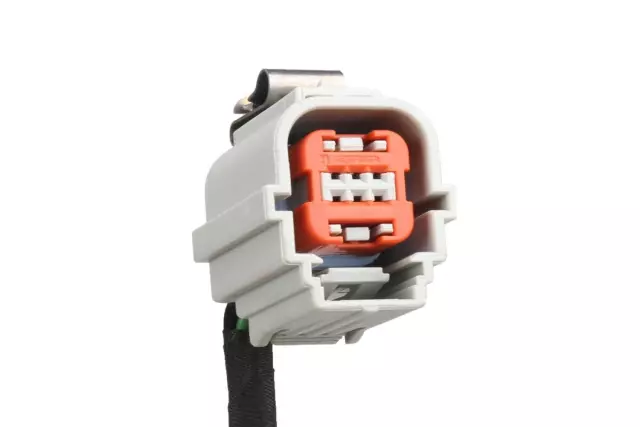 Rear License Plate Lamp Wiring Harness - GM (22800725)