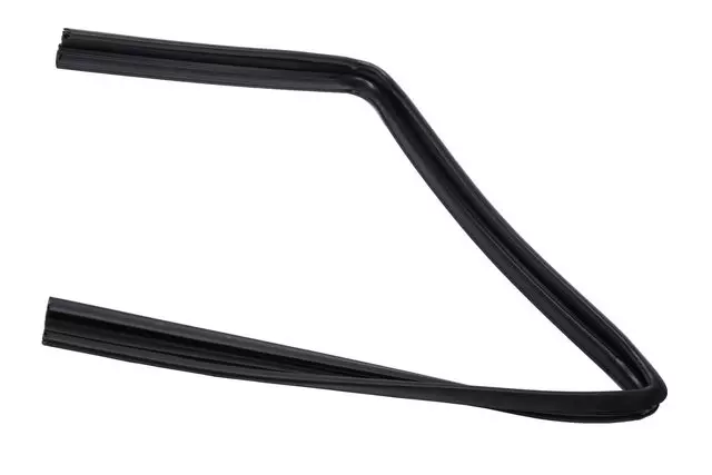 10366425 - Body: Run Weather-strip for Chevrolet: Colorado | GMC: Canyon Image