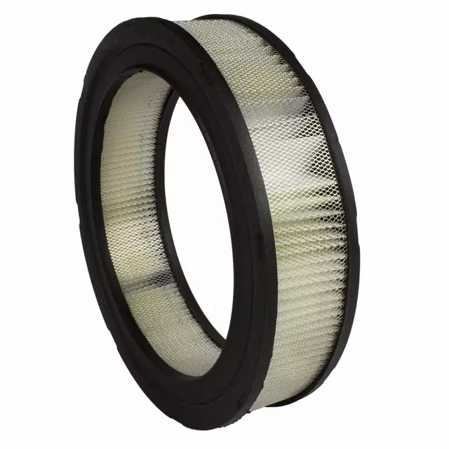 C5ZZ9601BR - : Element Assembly Air Cleaner for Ford Image