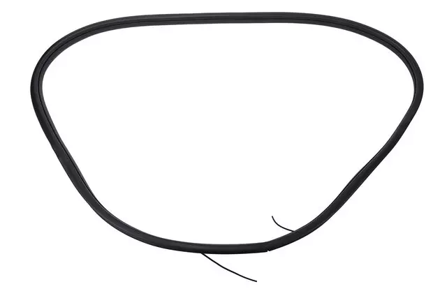 Weather-Strip On Body - GM (84710501)