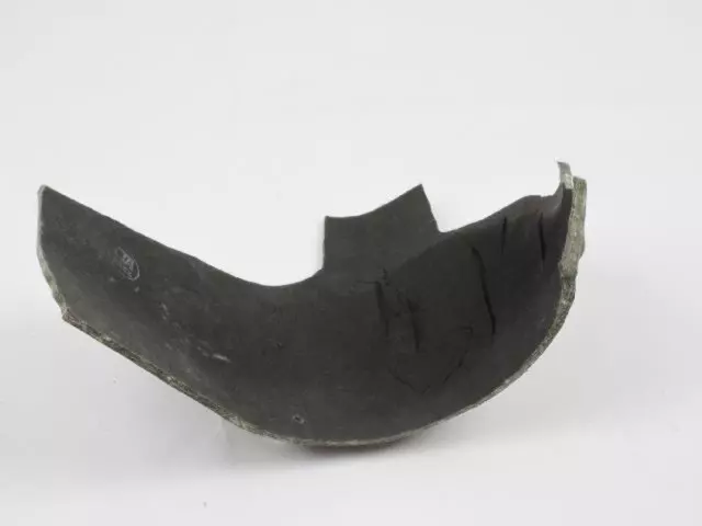 5028686AA - Body: Insulator for Chrysler: Town &amp; Country | Dodge: Grand Caravan | Ram: C/V Image