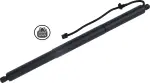 615077 - : Liftgate Lift Support for Tuff Support Image