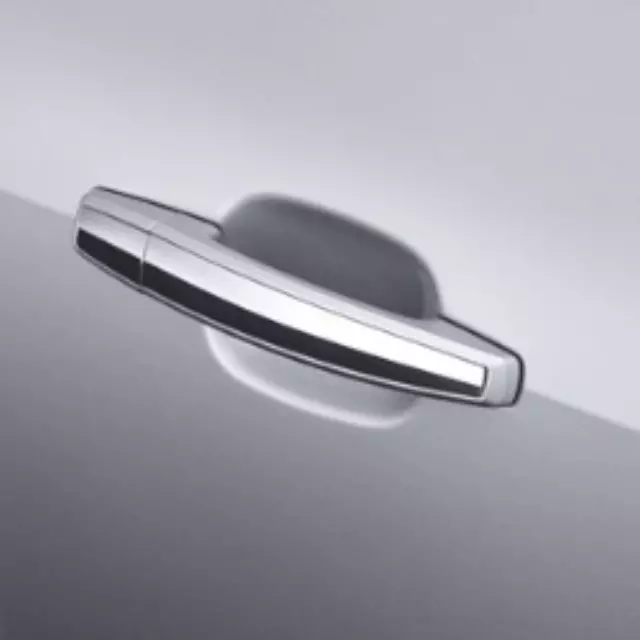 Door Handles - GM (22817271)