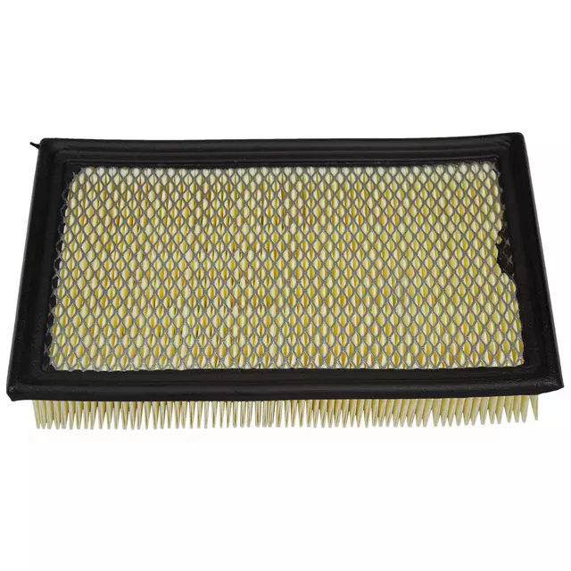 Engine Air Filter - Ford (1L2Z-9601-AA)