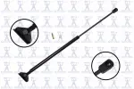 84810 - : Liftgate Lift Support for Focus Auto Parts Image