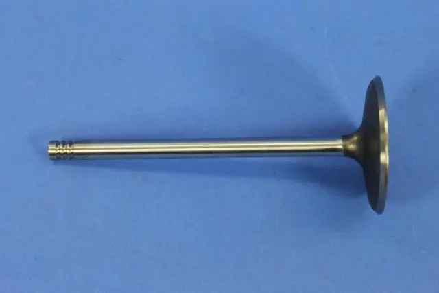 Engine Intake Valve, Right, Cylinder Head - Mopar (5045487AD)