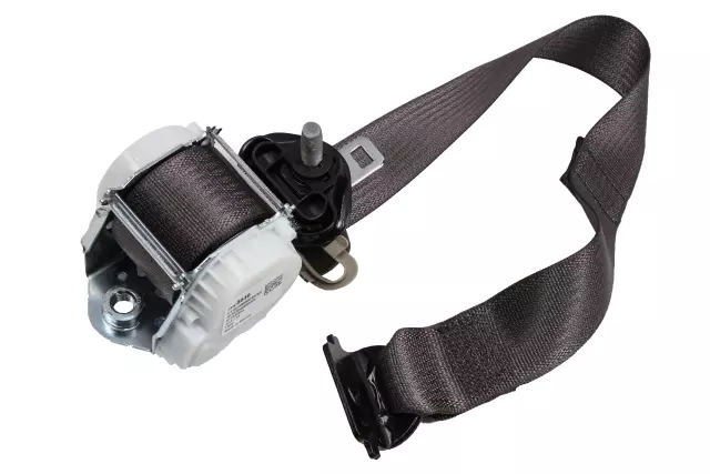 19303266 - Electrical: Outer Belt Assembly for Cadillac: Escalade | Chevrolet: Tahoe | GMC: Yukon Image