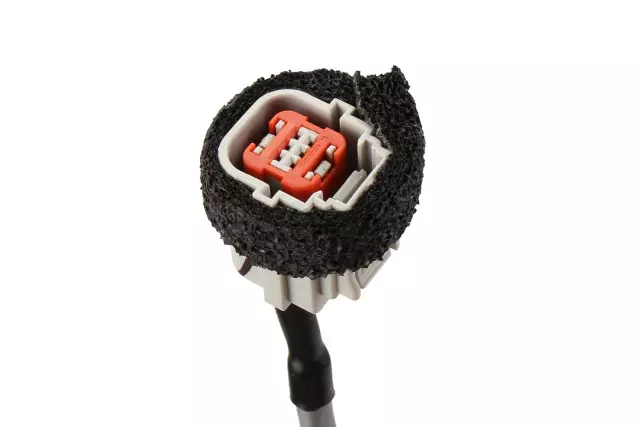 Rear License Plate Lamp - GM (25947303)