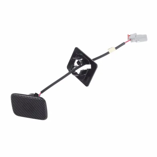 42854094 - Body: Microphone for GM Image