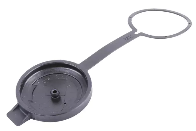 19405845 - : F (S)Cap for GM Image