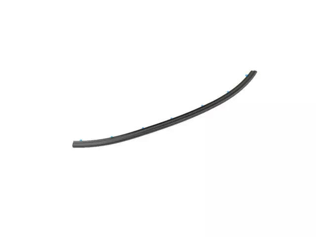 Rear Door Opening Weatherstrip - Mopar (68287578AA)
