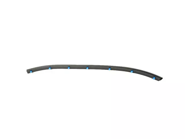 Rear Door Opening Weatherstrip - Mopar (68287578AA)
