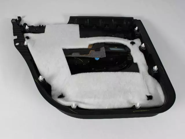 Rear Door Trim Panel, Right - Mopar (1VW961X9AA)
