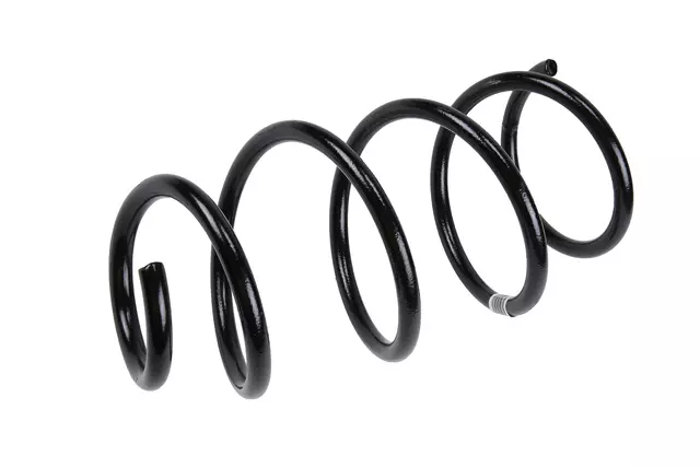 Front Coil Spring - GM (22863246)