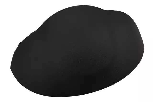 Jet Black Instrument Panel Cluster Trim Plate - GM (95216799)