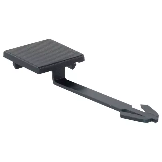 Cover Plate - Ford (M2DZ-115185-GA)