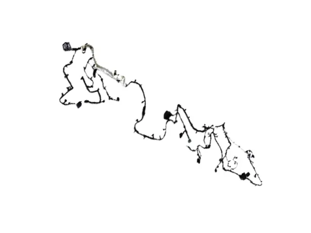 Chassis Wiring - Mopar (68527819AC)