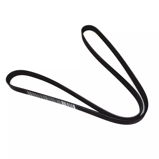 Serpentine Belt - Volkswagen (038-903-137-T)