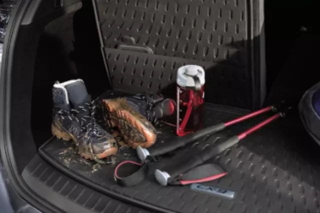 TA0AV0360 - : Cargo Tray for Mazda Image