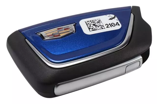 Remote Control Door Lock and Theft Deterrent Transmitter - ACDelco (85541922)