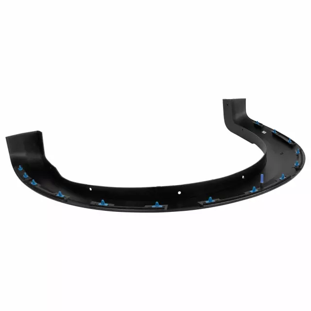 Molding - Ford (HL3Z-9929165-AAPTM)