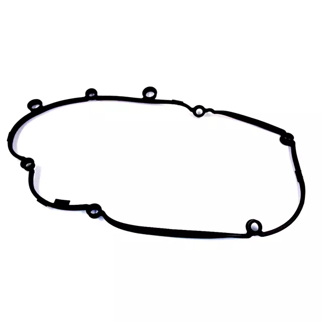 3L103483C - : Valve Cover Gasket for Volkswagen: Passat Image