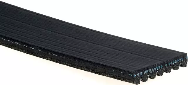 Belt - GM (19310995)