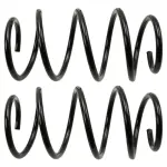 81694 - : Front Coil Spring Set for Moog Image