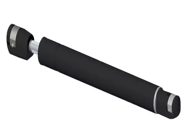 19383227 - : F (S)Strut for GM Image