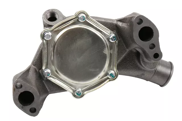 Engine Water Pump - GM (19417097)
