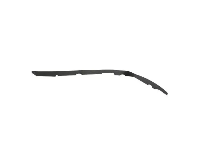 Front Door Sill Weatherstrip, Left - Alfa Romeo (68339189AA)