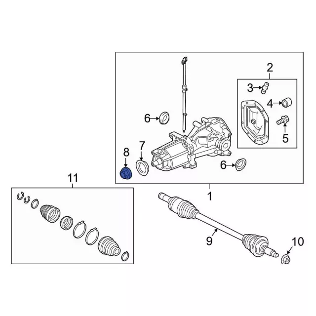 Differential Drive Pinion Nut - Ford (6L8Z-4320-B)