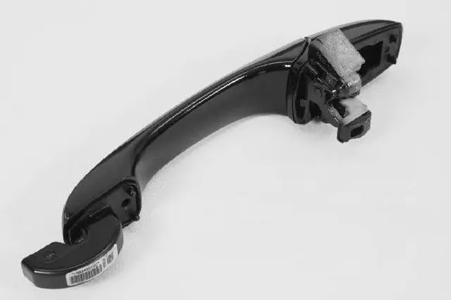 1NA54DX8AF - Body: Handle, Outside for Chrysler: Town &amp; Country | Dodge: Grand Caravan | Ram: C/V Image