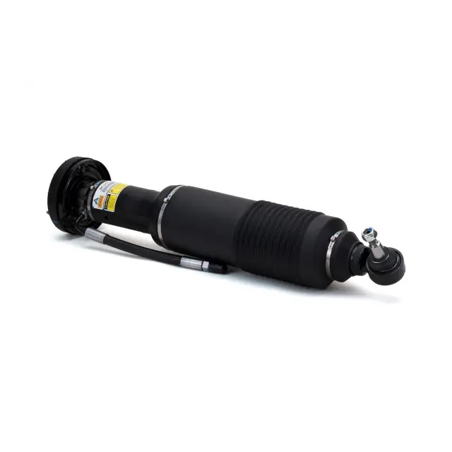 SK2413 - : Arnott Suspension Strut for Arnott Image