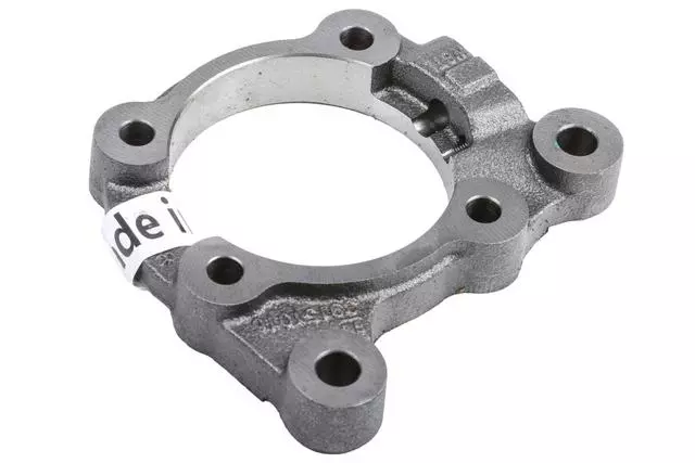 39151016 - : Rear Brake Caliper Bracket for GM Image