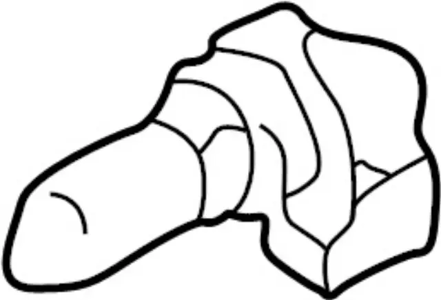 B629689918 - : Bulb for INFINITI: I30, Q45 Image