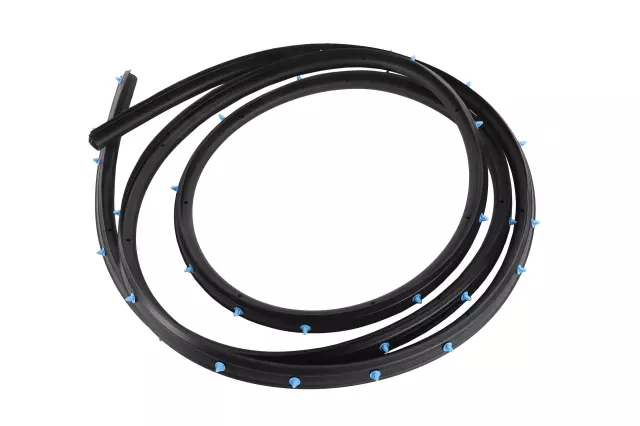 Door Weather-Strip - GM (39203329)