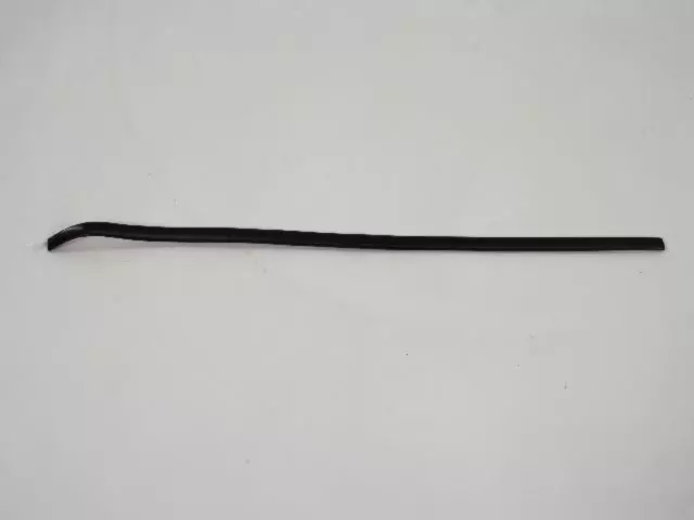 Molding - Mopar (55274871)