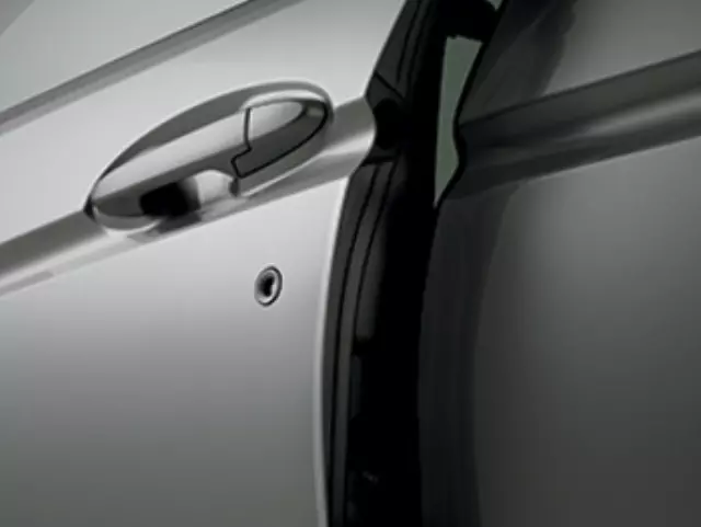 8P20T0A100A - : 2015-2016 Honda CR-V - Door Edge Film for Honda: CR-V Image