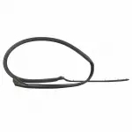 4W1Z5451822BA - Body: Weatherstrip for Lincoln: Town Car Image
