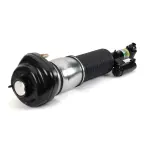 AS3374 - : Arnott Air Suspension Strut for Arnott Image