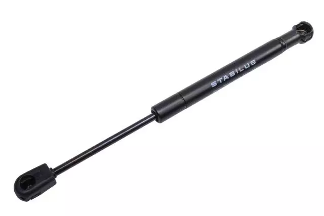 10376352 - Body: Strut for GM Image