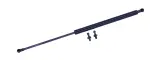 613109 - : Liftgate Lift Support for Tuff Support Image