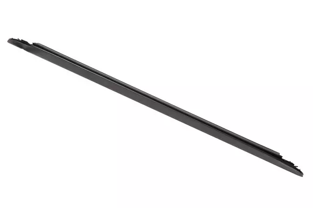 10388367 - Body: Belt Weather-strip for Chevrolet: Colorado | GMC: Canyon Image