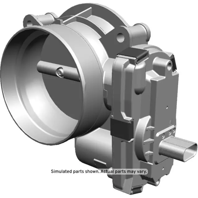 12730580 - : F (S)Body for GM Image